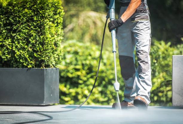 Best Boat and Dock Cleaning  in Pharr, TX