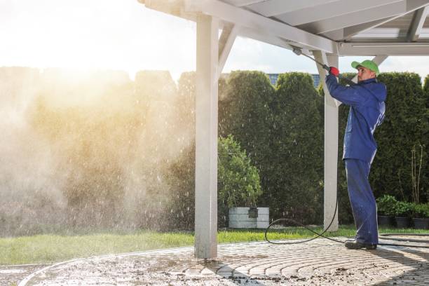 Best Animal Enclosure Cleaning  in Pharr, TX