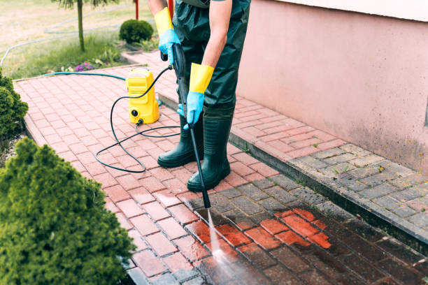 Best Spring Cleaning  in Pharr, TX