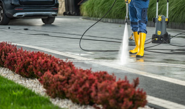 Best House Exterior Washing  in Pharr, TX